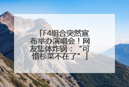 F4组合突然宣布举办演唱会！网友集体炸锅：“可惜杉菜不在了”