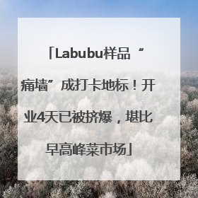 Labubu样品“痛墙”成打卡地标！开业4天已被挤爆，堪比早高峰菜市场