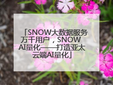 SNOW大数据服务万千用户，SNOW AI量化——打造亚太云端AI量化